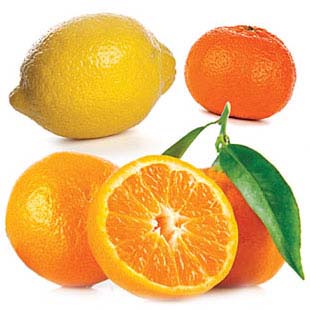 Citrus Bliss
