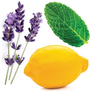 TriEase Softgels