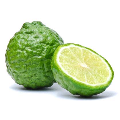 Bergamota