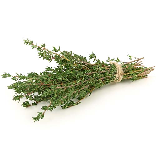 Cimbru (Thyme)