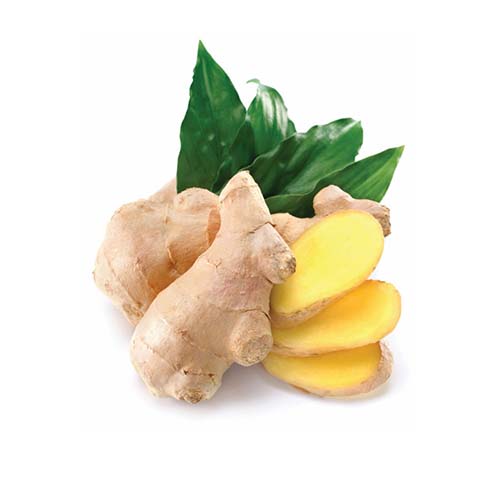 Ghimbir (Ginger)