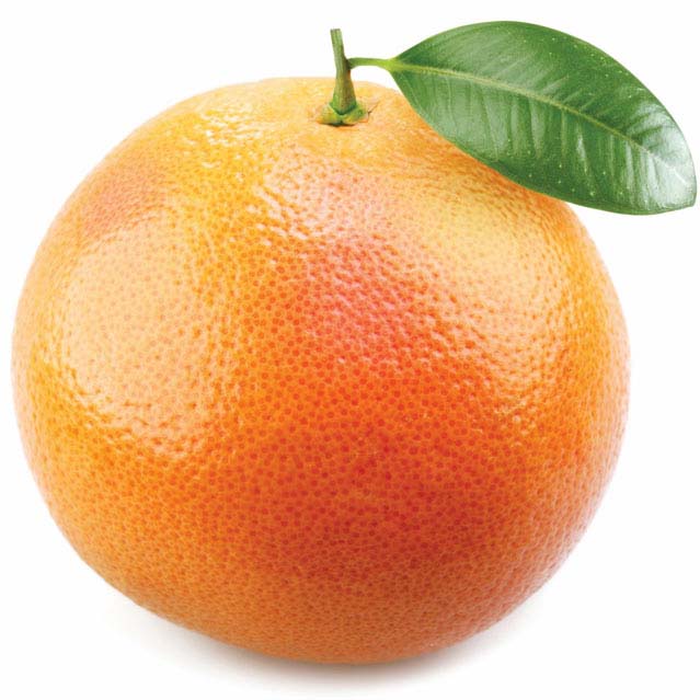 Grapefruit