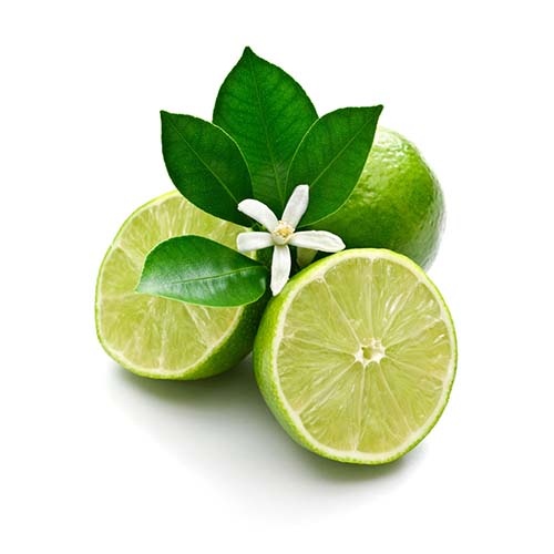 Lamaie verde (Lime)