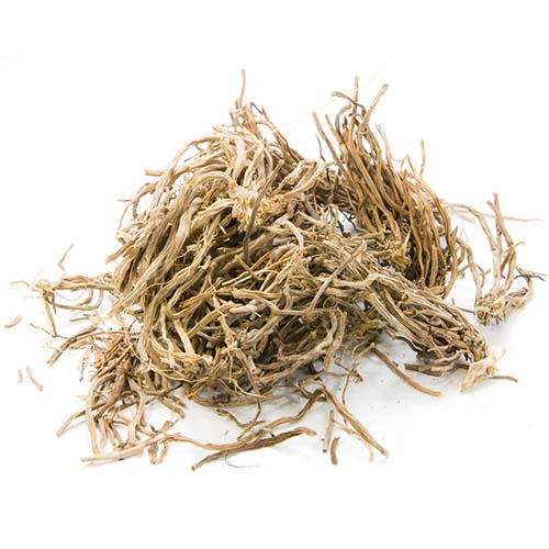Vetiver